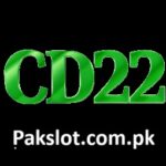CD22 Game Logo